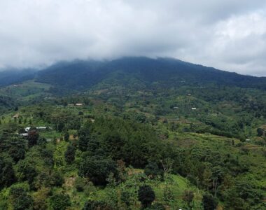 {{brizy_dc_image_alt image}}