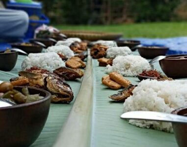 {{brizy_dc_image_alt image}}