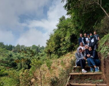 {{brizy_dc_image_alt image}}