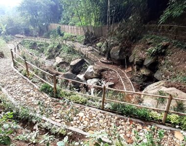 {{brizy_dc_image_alt image}}