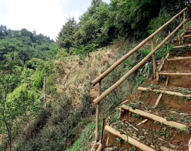 {{brizy_dc_image_alt image}}