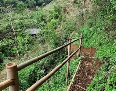 {{brizy_dc_image_alt image}}