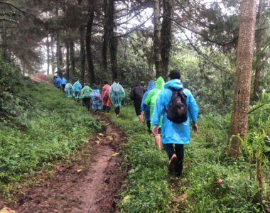 {{brizy_dc_image_alt image}}