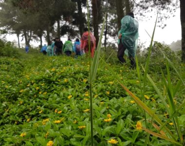 {{brizy_dc_image_alt image}}