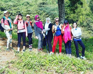 {{brizy_dc_image_alt image}}