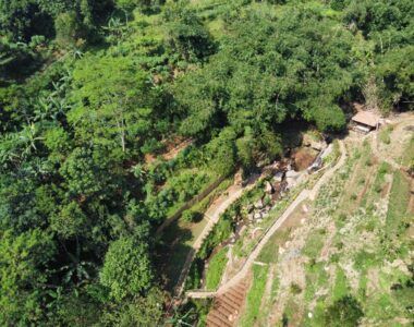 {{brizy_dc_image_alt image}}