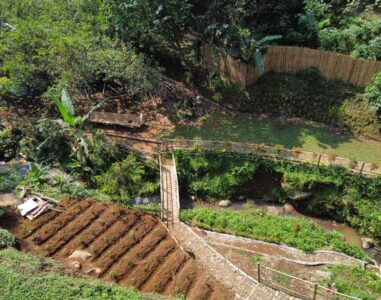 {{brizy_dc_image_alt image}}