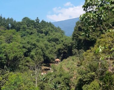 {{brizy_dc_image_alt image}}