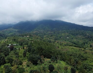 {{brizy_dc_image_alt image}}