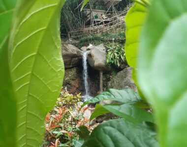 {{brizy_dc_image_alt image}}