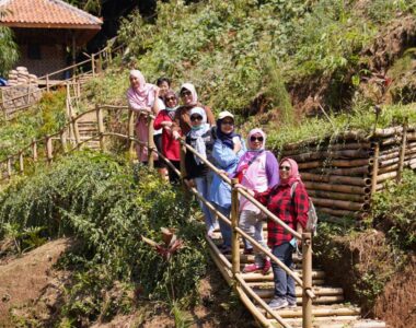 {{brizy_dc_image_alt image}}