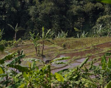 {{brizy_dc_image_alt image}}