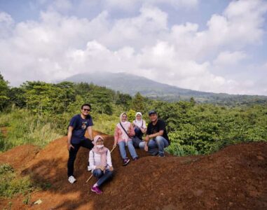 {{brizy_dc_image_alt image}}