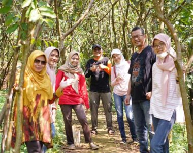 {{brizy_dc_image_alt image}}