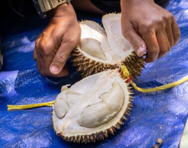 {{brizy_dc_image_alt image}}