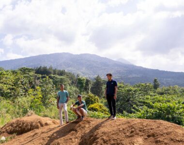 {{brizy_dc_image_alt image}}