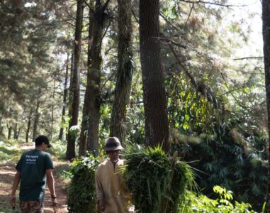 {{brizy_dc_image_alt image}}