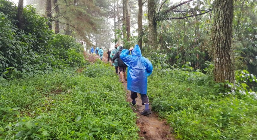 {{brizy_dc_image_alt image}}