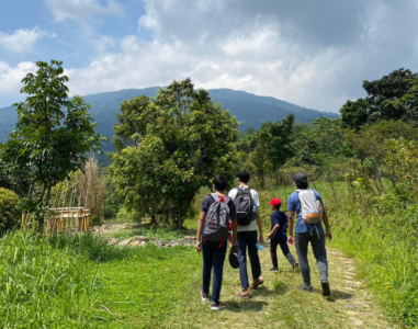 {{brizy_dc_image_alt image}}