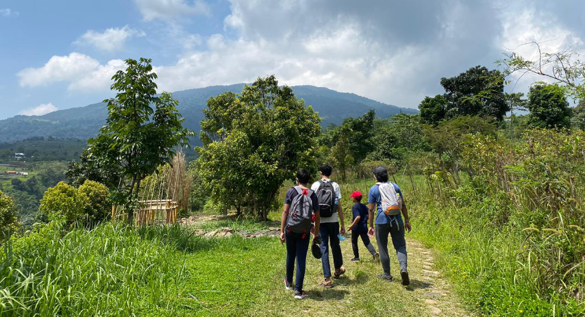 {{brizy_dc_image_alt image}}